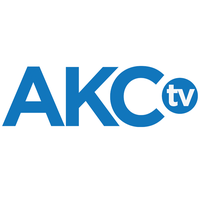 Logo de AKC TV Dogs