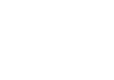 Logo de Dhípica