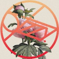 Logo de LoFi Hip-Hop Beats Music