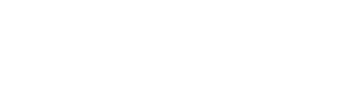 Squirrel 2