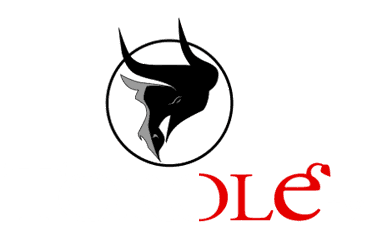 Torolé TV